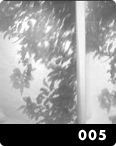 Act Green art 005