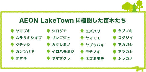 AEON LakeTownに植樹した苗木たち
ヤマブキ
ムラサキシキブ
クチナシ
カンツバキ
ケヤキ
シロダモ
サンゴジュ
カクレミノ
イロハモミジ
ヤマザクラ
ユズハリ
ヤマモモ
ヤブツバキ
モチノキ
ネズミモチ
タブノキ
スダジイ
アカガシ
アラカシ
シラカノ