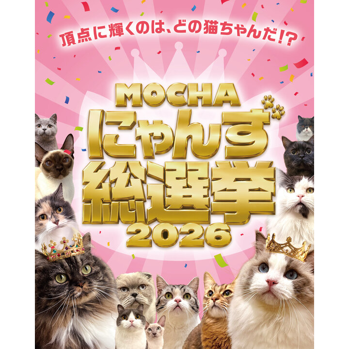 MOCHAにゃんず総選挙2026】開催のお知らせ - 猫カフェ モカ - イオン