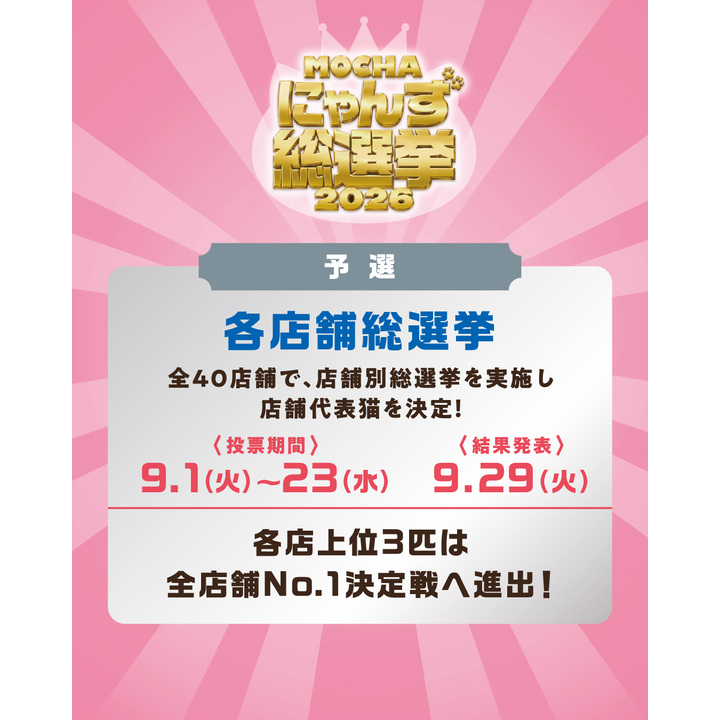 MOCHAにゃんず総選挙2026】開催のお知らせ - 猫カフェ モカ - イオン