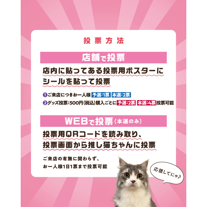 MOCHAにゃんず総選挙2026】開催のお知らせ - 猫カフェ モカ - イオン