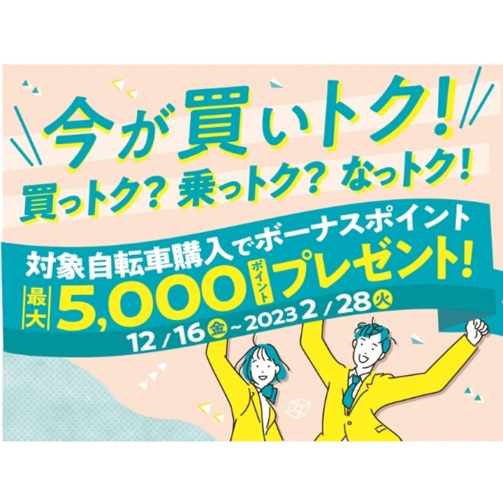イオンバイク